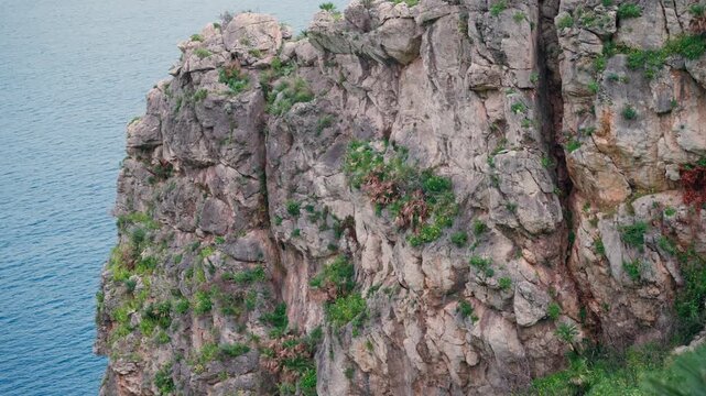 Cracked and weathered limestone cliffs, dotted with hardy green plants, rise steeply from the Mediterranean Sea along Sicily's coast.