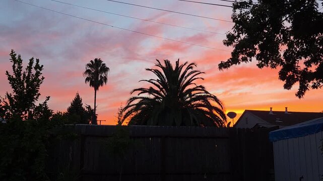sunset in the city