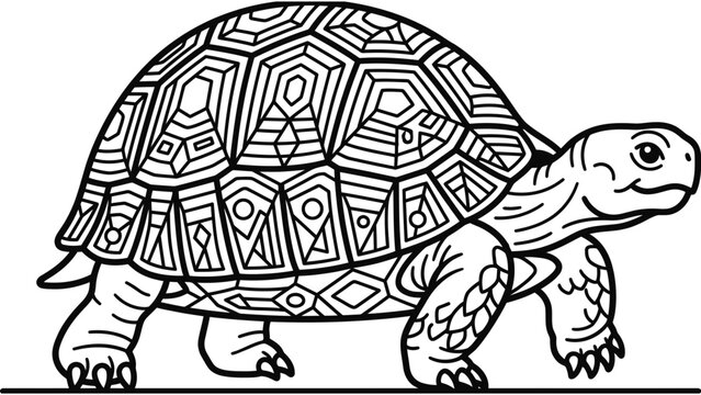Black and white line art illustration of a patterned tortoise.