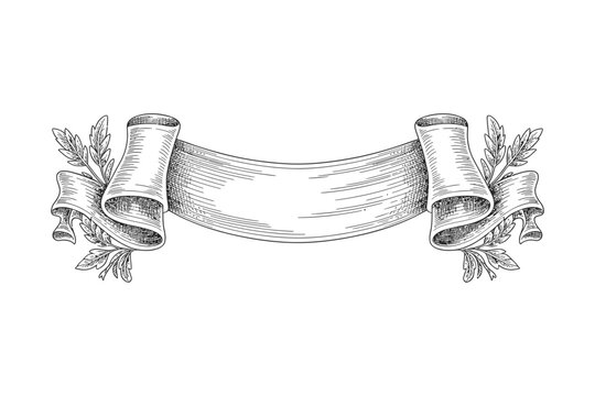 Ornate ribbon scroll banner with laurel leaves engraved vector design for awards and classic labels.