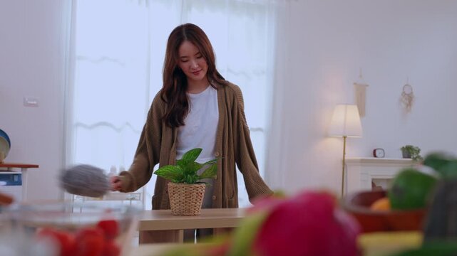 Cheerful young woman holding basket with green houseplant in bright kitchen home interior near window lamp fruit counter wearing cardigan casual smile soft light indoor table