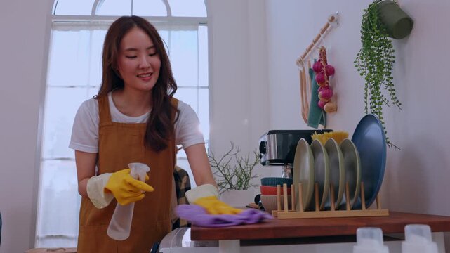 Woman cleaning kitchen with spray cloth glove apron near dish rack window, smiling while wiping countertop in bright home interior with plant, cup, plate decor