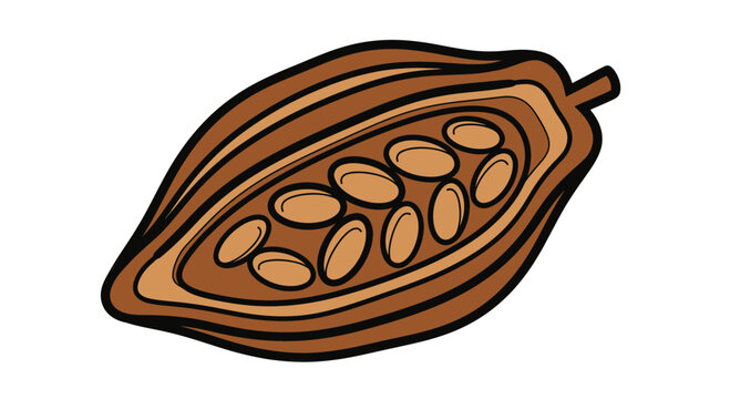 cocoa pod with beans inside