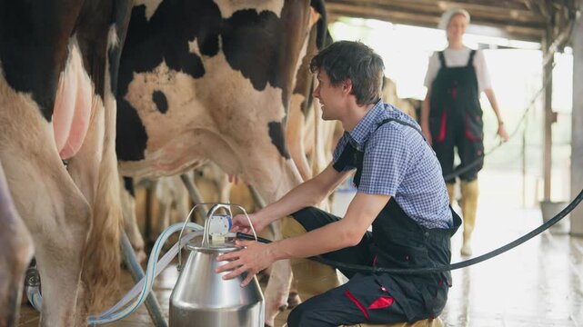 Caucasian male dairy farmer milking a cow using modern milking machine in cowshed. 