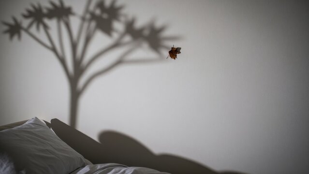 Shadow of a Leaf on Wall Above Soft Bed in Cozy Bedroom Setting