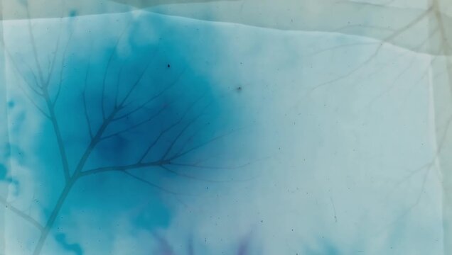 Blue ink diffusion through translucent leaf patterns in a grid