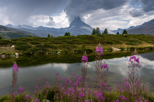 Dramatic Summer View of the Matterhorn (Cervus Matterhorn) Reflected in Alpine Lake, Valais, Switzerland