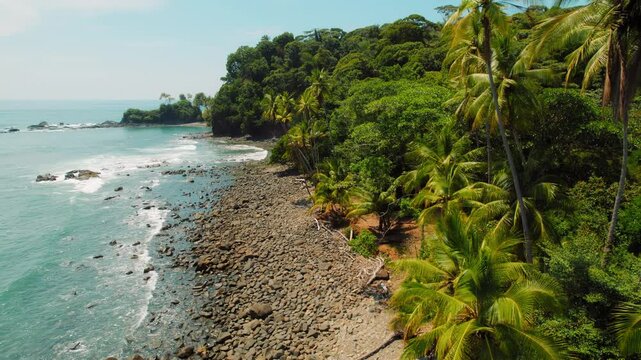 Palm trees along rocky tropical shore where ocean waves meet clear turquoise water