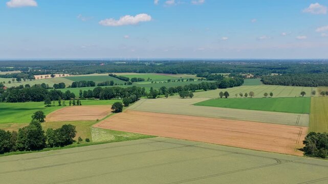 Crop plantation at farm. Agriculture and cultivation. Aerial top view on green crop field. Nature environment. Green harvest in field. Summer green field. Agricultural aerial landscape
