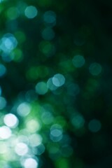 Bright blurred green bokeh background with light circles for nature and abstract themes © M Halim Abduh