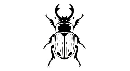 Fototapeta premium Black and white stag beetle illustration.