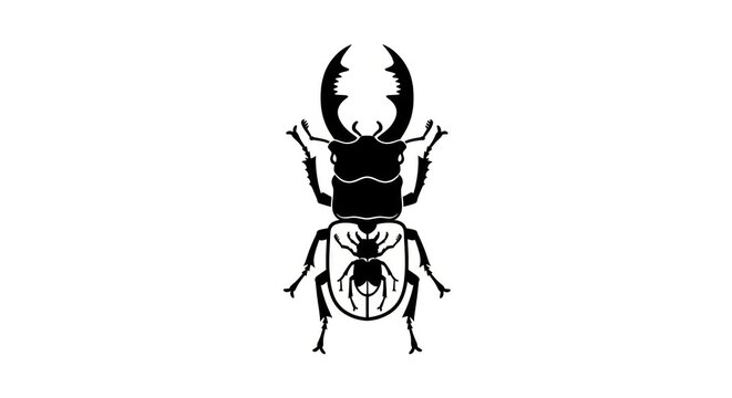 black beetle insect logo icon.