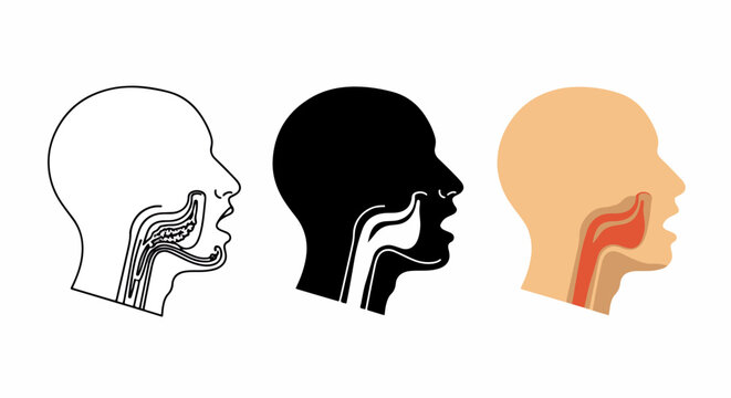 Human throat anatomy medical profile icon set: Clipart, sticker - icon set, logo template - SVG and PNG icons - flat icon set