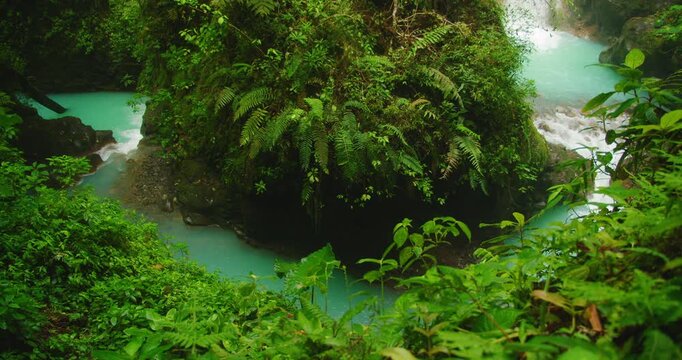 Turquoise Costa Rica river and waterfall turning around fern covered cliffs deep in tropical jungle