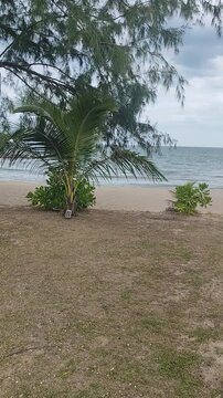 Seaview in Khanom, Sichon District, Nakhon Si Thammarat, on August 8, 2026.