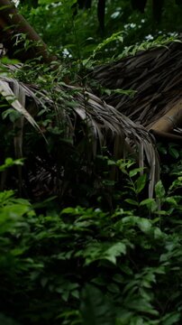 hatched Palm Roof Hut Nestled Among Dense Tropical Green Foliage