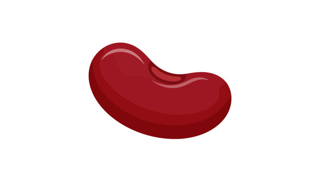 Single Glossy Kidney Bean Illustration
