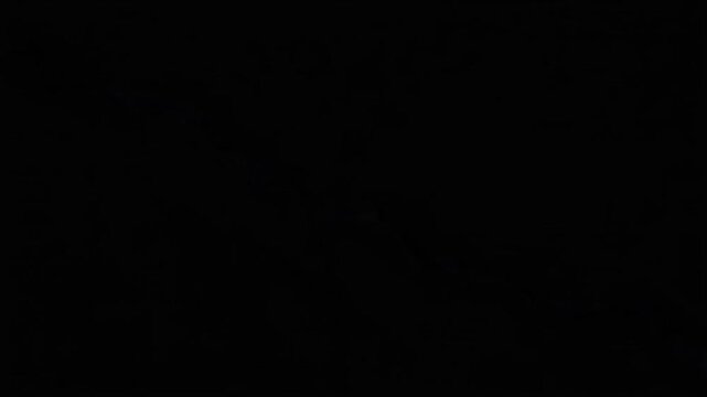 Dynamic Blue Lightning Strikes Electrical Energy on Black Background