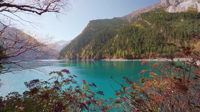Beautiful colorful autumn leaves and nature scenic view of Long Lake in Jiuzhaigou national park