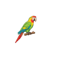Parrot_ standing  © Nazma