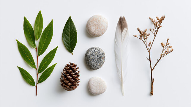 Natural collection featuring green leaf, smooth river stone, pine cone, feather, and dried botanical branch white background, creating calm balance