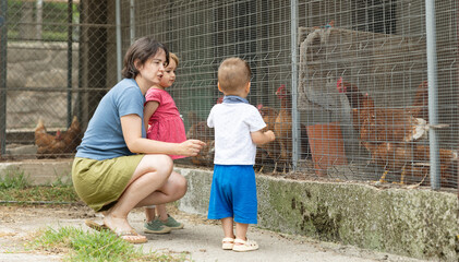 Mother with son and daughter visiting a farm outside the city, they are standing near the fence and looking at the chickens © JackF