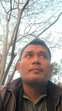 Vertical Low Angle Shot of Contemplative Man Looking Upward Under Tree Canopy Metaphor for Hope and Vision
