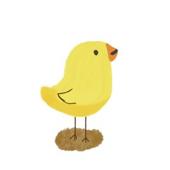 A yellow chicken © yua