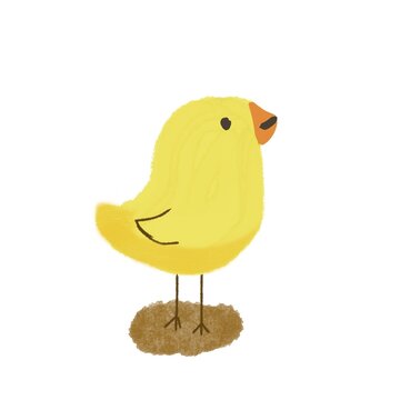 A yellow chicken