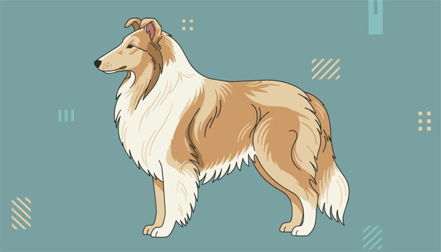 Beautiful rough collie dog illustration standing in profile view against a teal background decorated with geometric shapes.