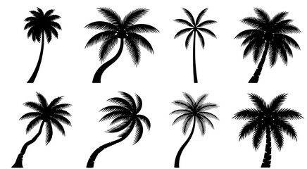 Fototapeta premium Collection of palm tree silhouettes in black and white vector art style for tropical beach design and summer vacation branding materials