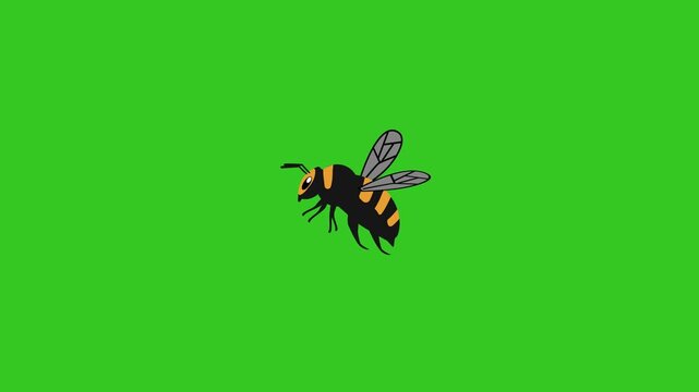 Animated cartoon flyng bee with flapping wings isolated green