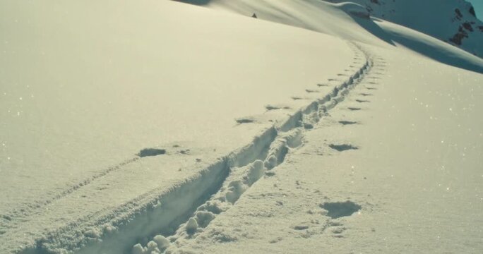Backcountry ski tracks winding through fresh powder on a sunlit alpine mountain glacier