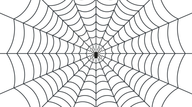 Black spider web vector icon with small spider. Haunted house decoration. Halloween background element. Arachnid line art illustration for spooky background.