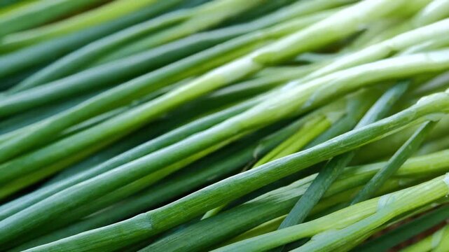 Fresh Green Onions in a Woven Basket