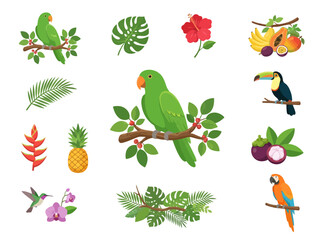 Naklejka premium A collection of tropical birds exotic fruits and lush jungle foliage illustrations.