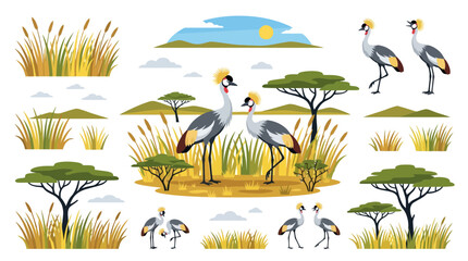 Obraz premium A collection of grey crowned cranes in various poses within a savanna habitat.