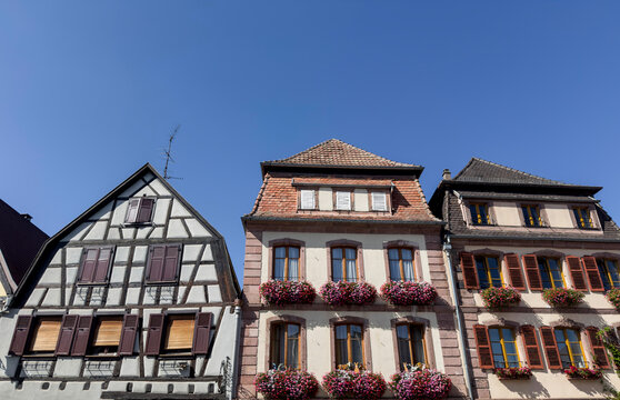 Maison sur le village de Bergheim en Alsace