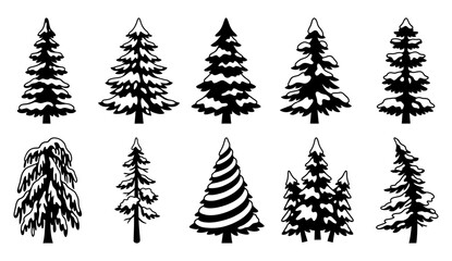 Obraz premium Collection of various black silhouette pine trees and evergreens on a white background