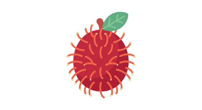 Rambutan fruit is depicted as a flat vector illustration with a white background