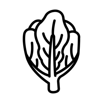 Collard
