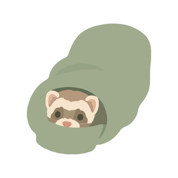 Adorable hand-drawn vector icon of a curious ferret peeking out from inside a cozy ribbed knit sleeve, soft pastel illustration, charming pet character design