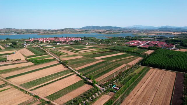 High-angle aerial shot showing patchwork farmland, lakeside villages, and distant mountains under clear blue sky.