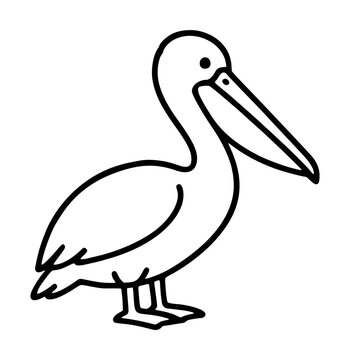 Hand-traced vector illustration of a graceful pelican featuring a distinctive large beak pouch, rendered in minimalist black line art style on a clean white background, perfect for wildlife and