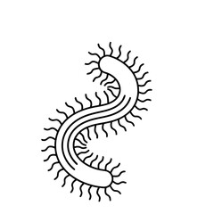 Fototapeta premium Line art of a bacterium with flagella