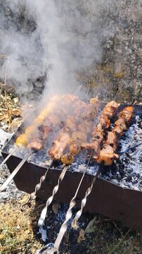 Barbecue on the fire. Delicious shashlik meat grilling on skewers over hot coals. Grilled shish kebab. Barbecue in the smoke