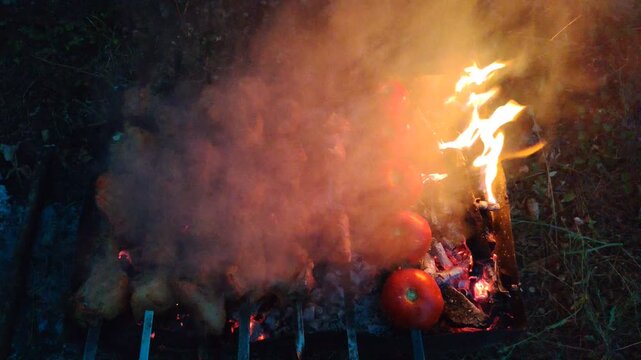 Barbecue on the fire. Delicious shashlik meat grilling on skewers over hot coals. Grilled shish kebab. Barbecue in the smoke