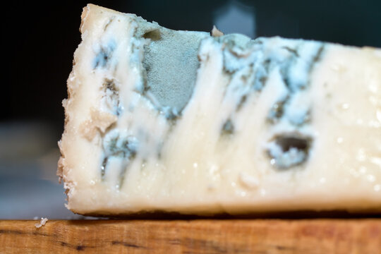 Macro close-up shot of creamy gorgonzola blue cheese wedge with mold veins