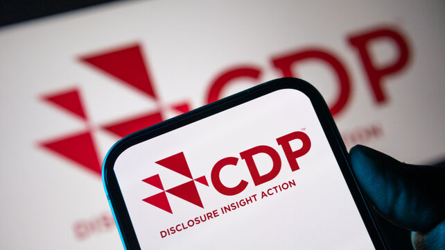 Cdp disclosure insight action logo on smartphone screen for sustainability and environmental reporting.