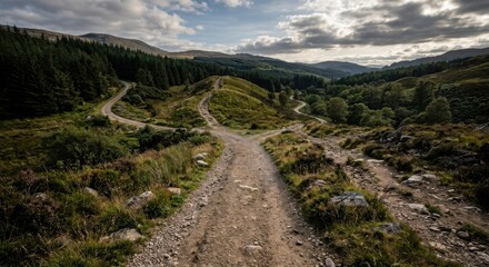 Fototapeta premium Winding dirt path through rolling green hills and forests under a cloudy sky